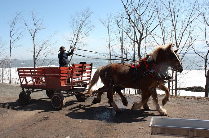 Shuttle from Quebec City to Sugar Shack / Navette Cabane a Sucre - FAQ