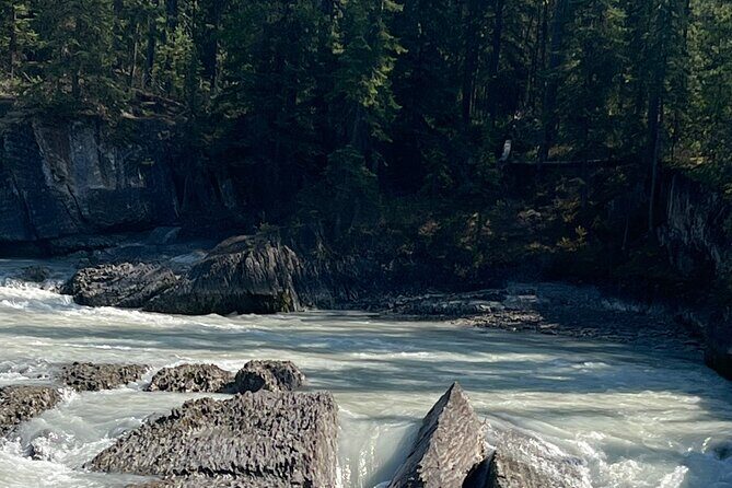 Shuttle Service and Tours - Who Would Benefit Most?