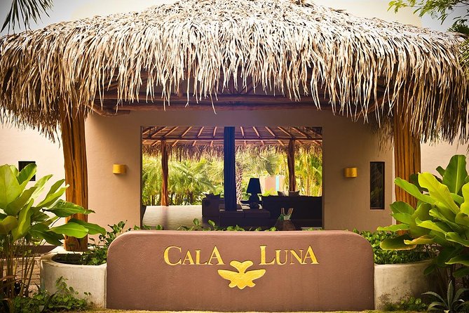 Shuttle Service From Liberia Airport To Tamarindo - About Your Stay
