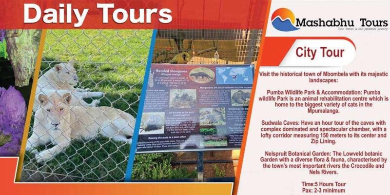 Shuttle Services in KMI and Around Mbombela - Frequently Asked Questions