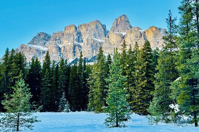 ShuttleBus 2way Banff to Lake Louise (1Hr) and Moraine Lake (1Hr) - The Experience at a Glance