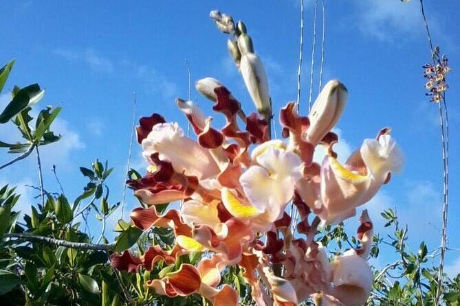 Sian Ka'an Biosphere Ancient Canals Expedition - The Sum Up