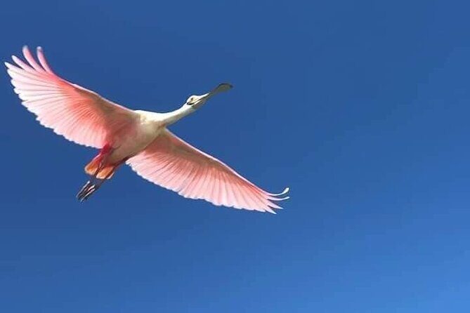 Sian Ka'an Biosphere Full Day Boat Tour with Lunch - Who Is This Tour Best For?