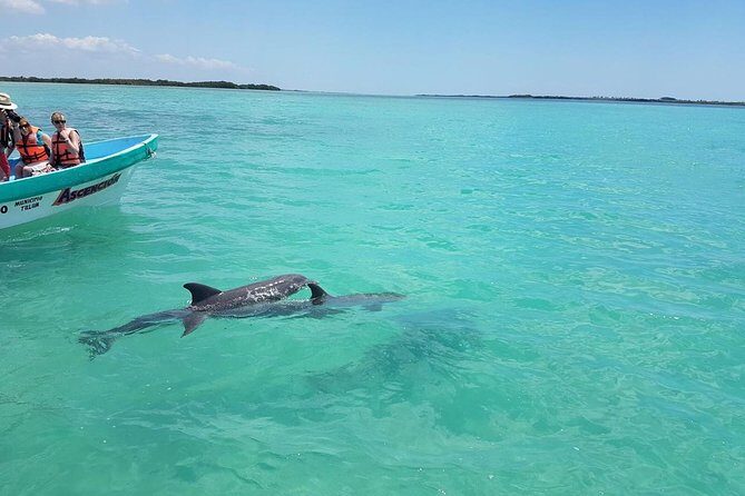 Sian Ka'an Biosphere Full Day Boat Tour with Lunch - The Sum Up