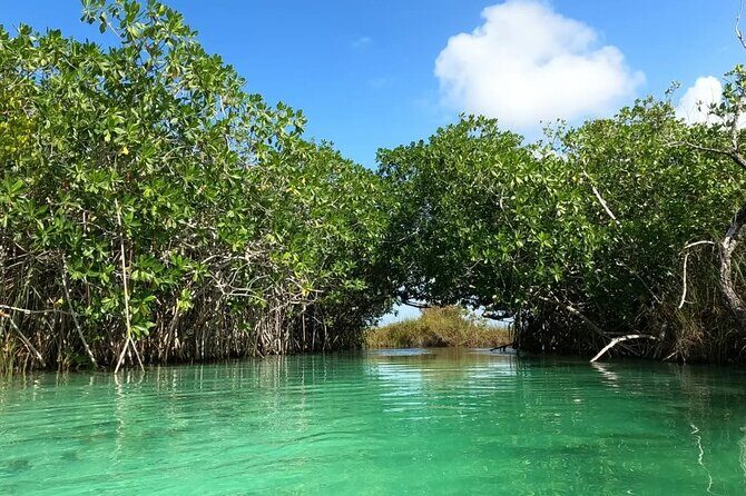 Sian Ka'an Biosphere Reserve Guided Tour - A Deep Dive into the Experience