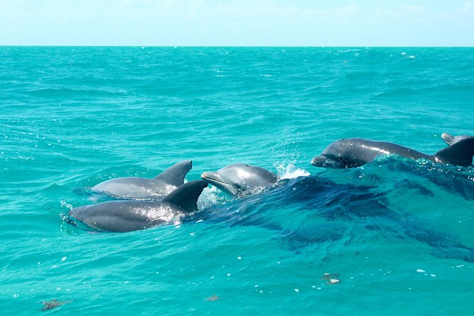 Sian Kaan Biosphere Tour - Tour Requirements