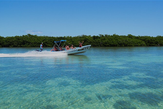 Sian Kaan Biosphere Tour - Wildlife Sightings