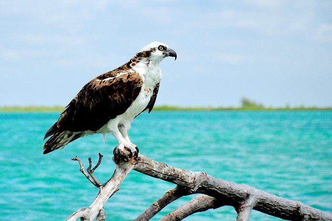 Sian Kaan Biosphere Tour - Lunch and Dining
