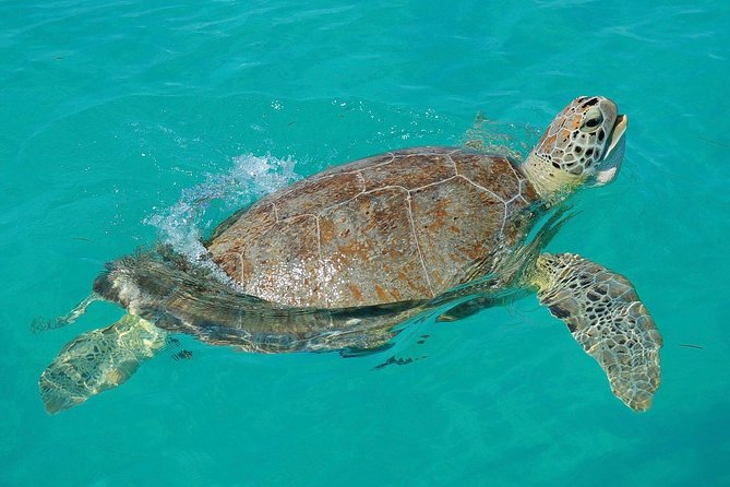 Sian Kaan Biosphere Tour - Booking and Availability