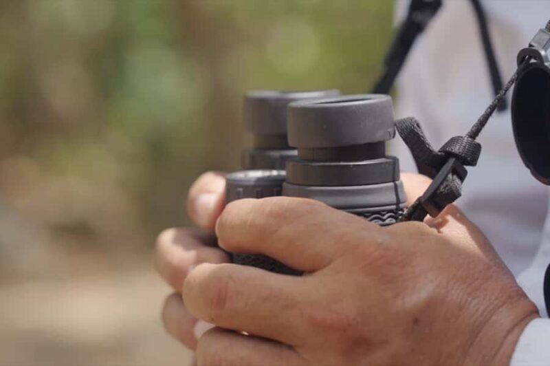 Sian Ka'an: Bird Watching & Mayan Herbal Medicine - Practical Details and Tips