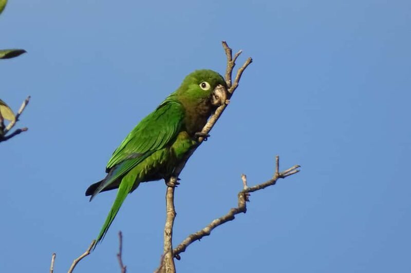 Sian Ka'an: Bird Watching & Mayan Herbal Medicine - Authentic Experiences and Genuine Value