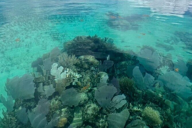 Sian Ka'an Boat Experience from Riviera Maya to Tulum - FAQ