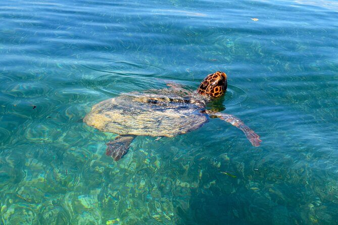 Sian Ka'an Boat Experience from Riviera Maya to Tulum - Final Thoughts