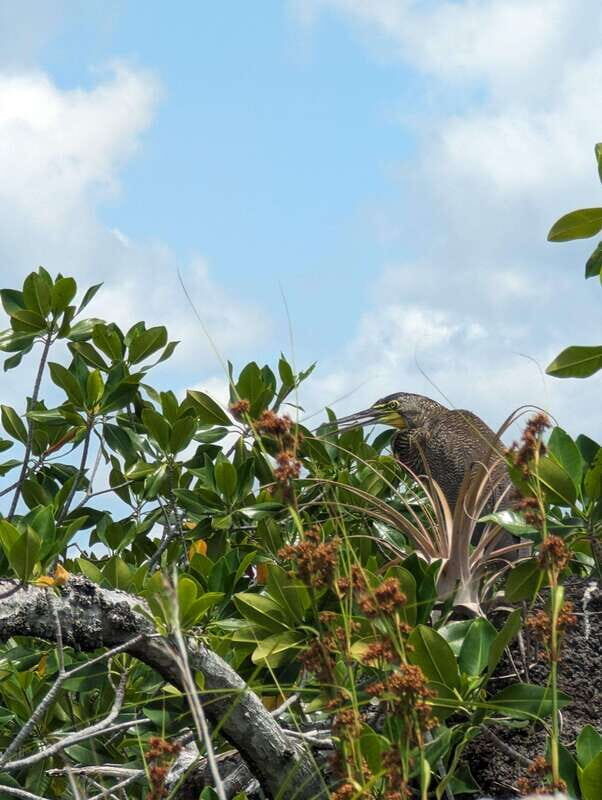 Sian Ka'an Channels and Underground River - Private Tour - Key Points