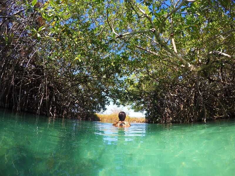 Sian Ka'an Channels and Underground River - Private Tour - Who Is This Tour Best For?