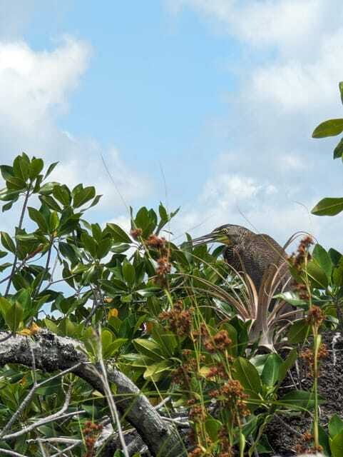 Sian Ka'an Channels and Underground River - Private Tour - The Sum Up