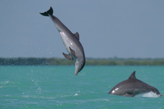 Sian Ka'an Classic - An In-Depth Look at the Tour Itinerary