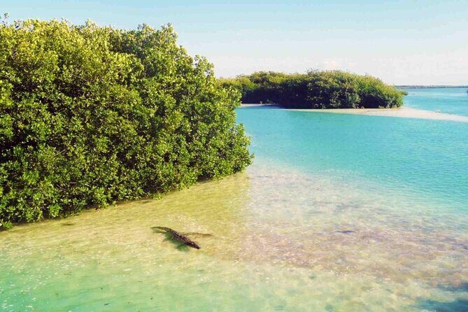 Sian Kaan Reserve Private Bike Tour - What Travelers Are Saying