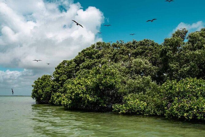 Sian Ka'an Reserve Tour - Practical Insights and Value