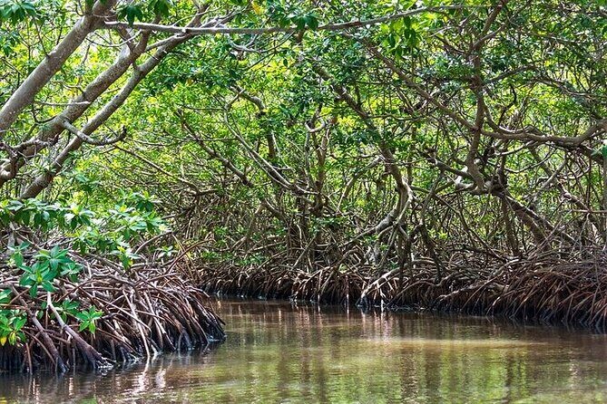 Sian Kaan Reserve Tour with Boat Trip and Maya Village Visit - Lunch with Locally Sourced Ingredients