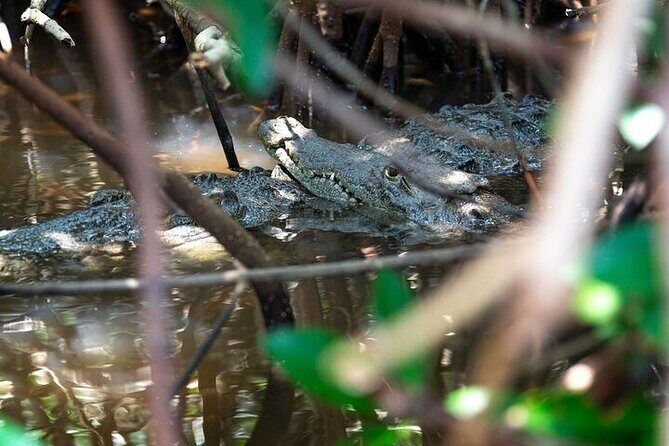 Sian Kaan Reserve Tour with Boat Trip and Maya Village Visit - Environmental and Safety Tips