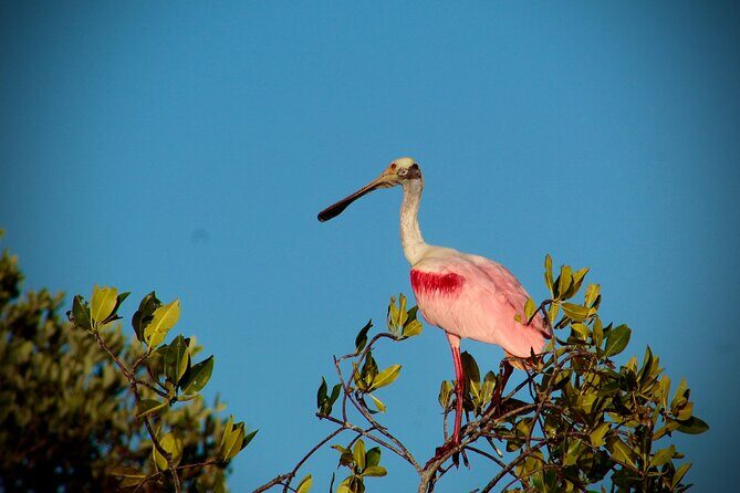 Sian Kaan Sunset Private boat. - Transportation, Price, and Booking