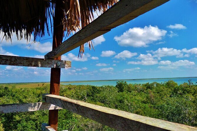 Sian Kaan Tour of Muyil Ruins and a Swim in Magical Cenote - Refreshing Swim: Cenote Corazón del Paraíso