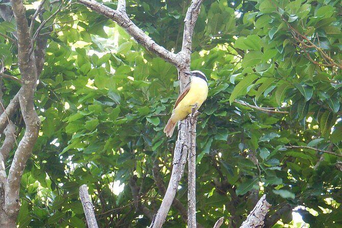 Sian Ka'an Tour (Private, Half Day) - Frequently Asked Questions (FAQs)