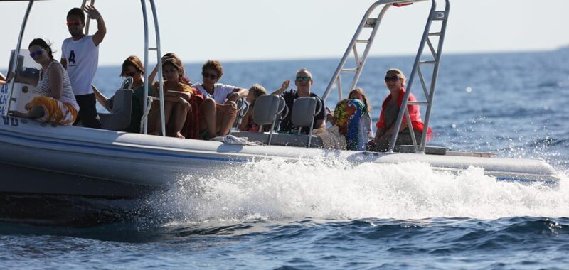 Sibenik: Full-Day Kornati National Park Boat Tour - Key Points