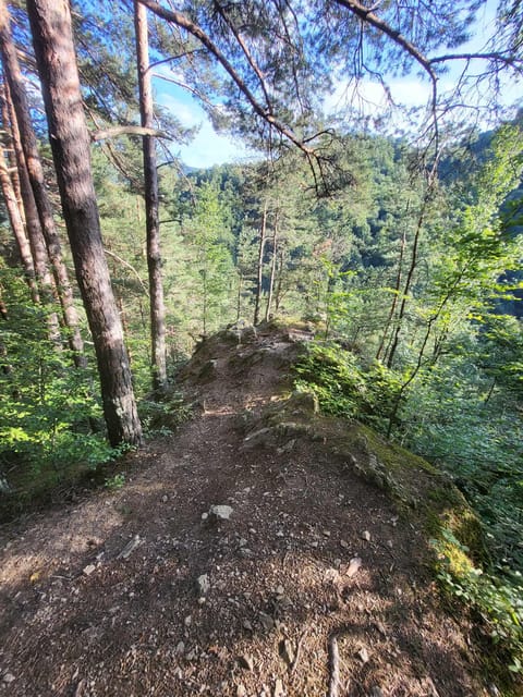 Sibiu: Cindrel Mountains Hike with Traditional Brunch - An In-Depth Look at the Cindrel Mountains Hike and Brunch