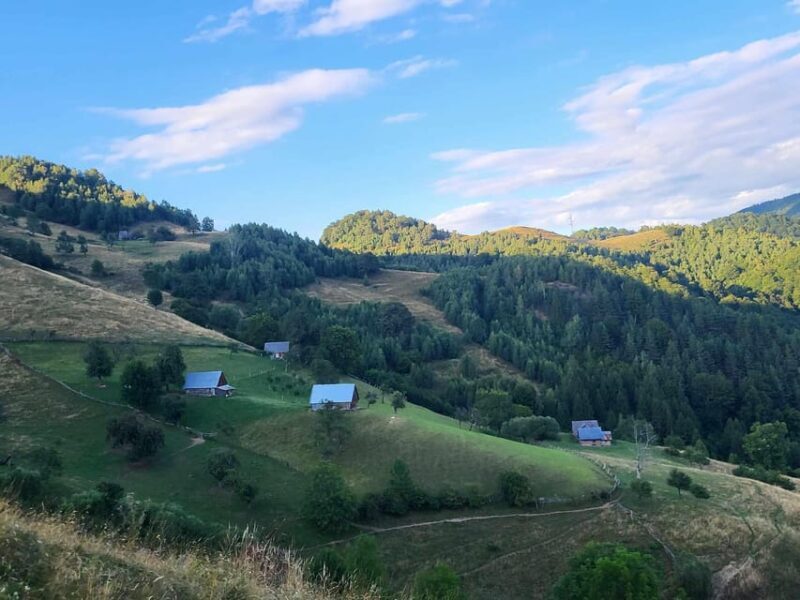 Sibiu: Cindrel Mountains Hike with Traditional Brunch - Practical Details and Tips