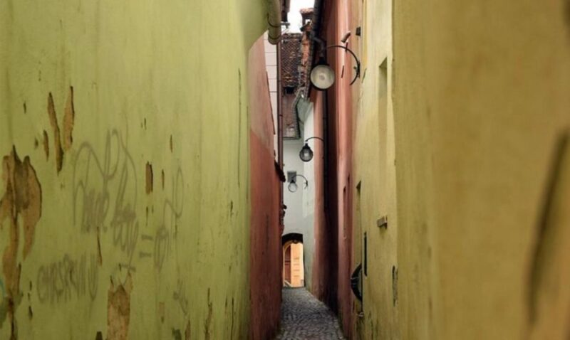 Sibiu: Draculas Castle and Brasov Day Roundtrip Day Tour - Inclusions and Amenities
