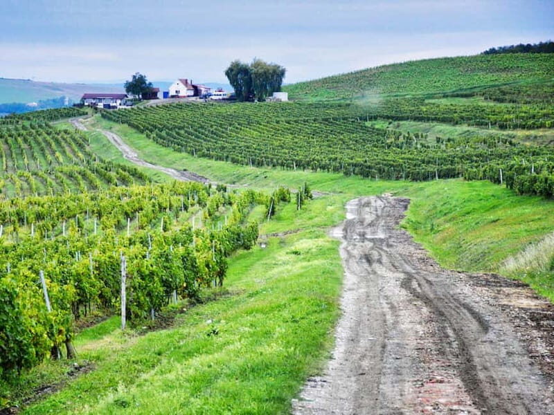 Sibiu, UNESCO & wine tasting tour (from Cluj) - Key Points