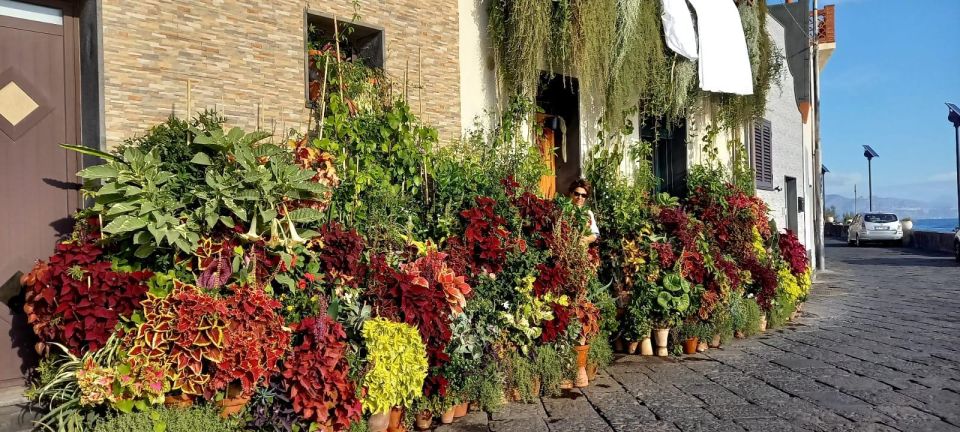 Sicilian Experience With Local Guide , Test Wine and Food - Cultural Significance of Wine
