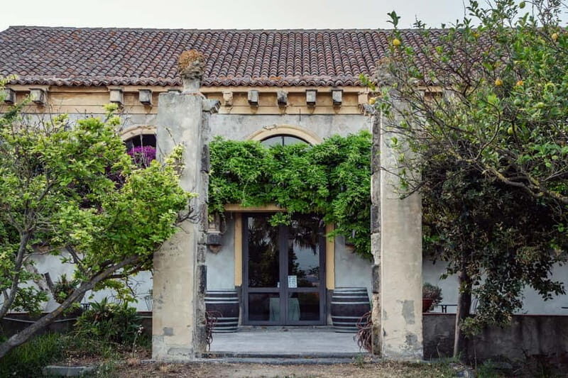 Sicilian Soul: Winery Tour, Wine & Food Tasting in Catania - Exploring the Authentic Flavors of Sicily: A Detailed Look at the "Sicilian Soul" Winery Tour in Catania