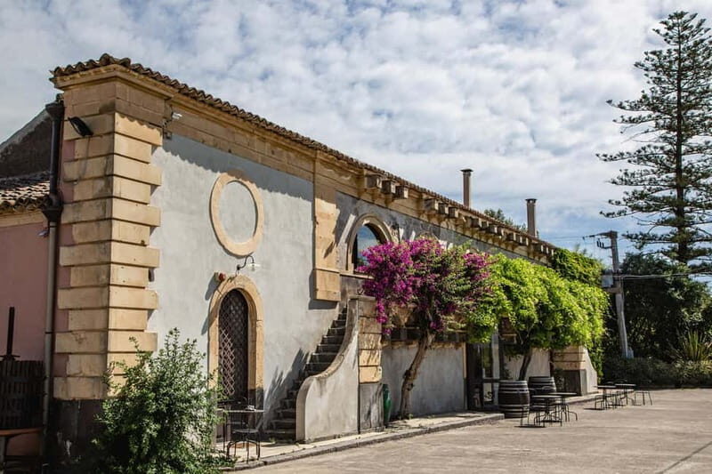 Sicilian Soul: Winery Tour, Wine & Food Tasting in Catania - Why Choose the Sicilian Soul Winery Tour?