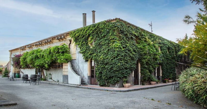 Sicilian Soul: Winery Tour, Wine & Food Tasting in Catania - Analyzing the Value