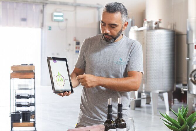 Sicilian Winery Experience in Alcamo - A Closer Look at the Alcamo Winery Tour