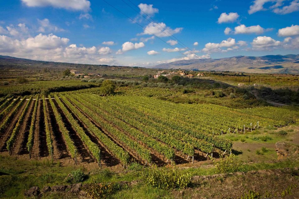 Sicily: Etna Wine Train Tour Experience, Wine Tasting - Meet at Piedimonte Etneo