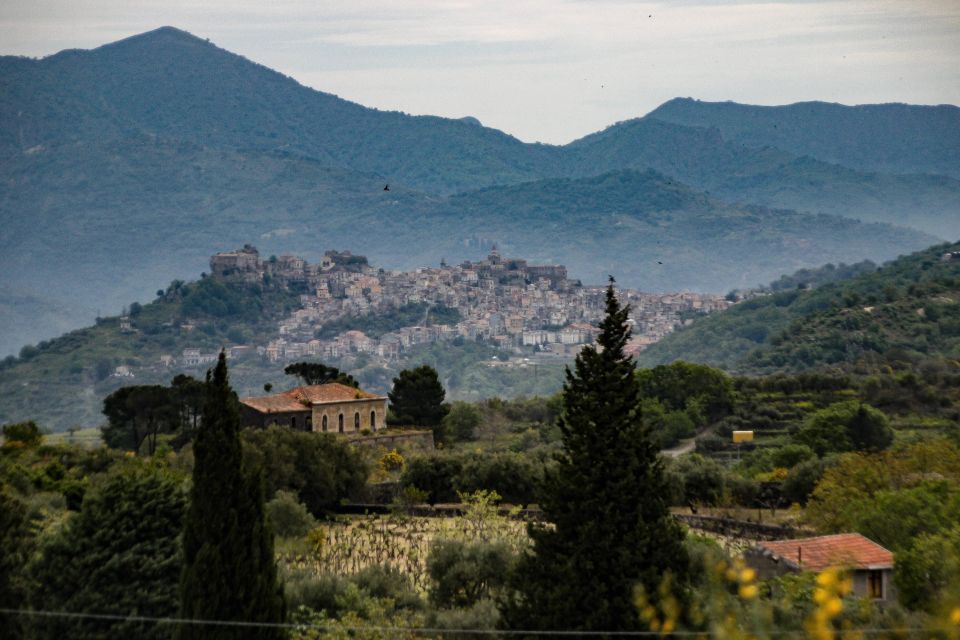 Sicily: Etna Wine Train Tour Experience, Wine Tasting - Second Winery Tour and Tasting