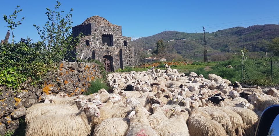 Sicily: Mount Etna 4x4 Jeep Tour With Lava Caves & Forests - Exploring Alcantara Gorges