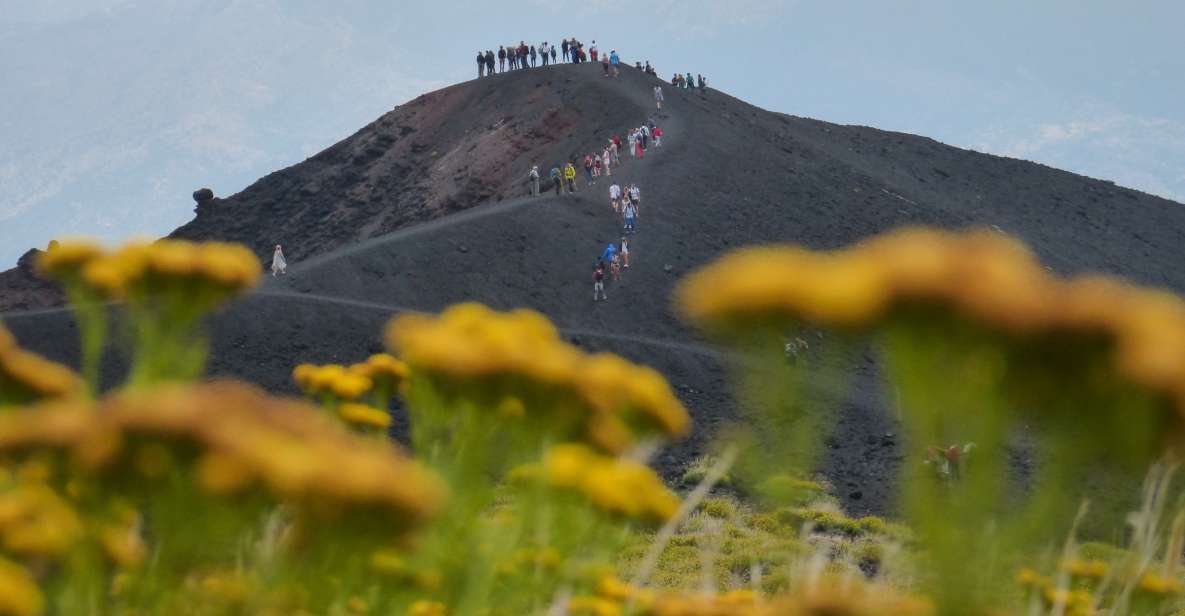 Sicily: Mount Etnas North Slope Craters Guided Hike Tour - Key Points