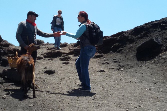 Sicily Private Shore Excursion - Etna and Taormina With Personal Driver - Customer Reviews
