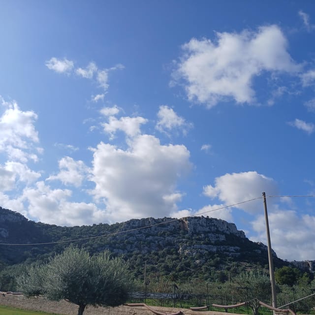 Sicily tour - Practical Tips and Considerations