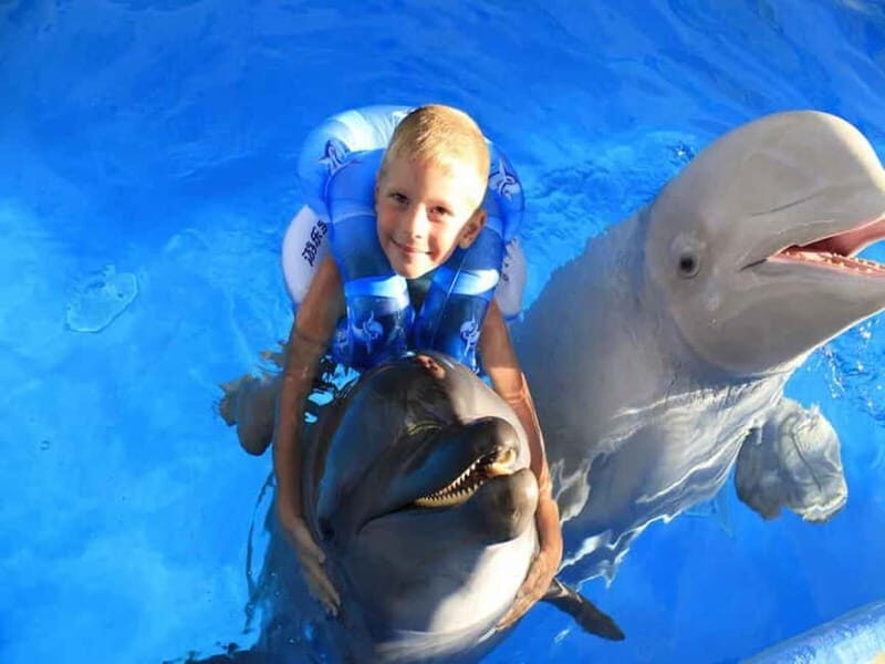 Side/Alanya: Swimming with Dolphins and Dolphin Show - What’s Included and What’s Not