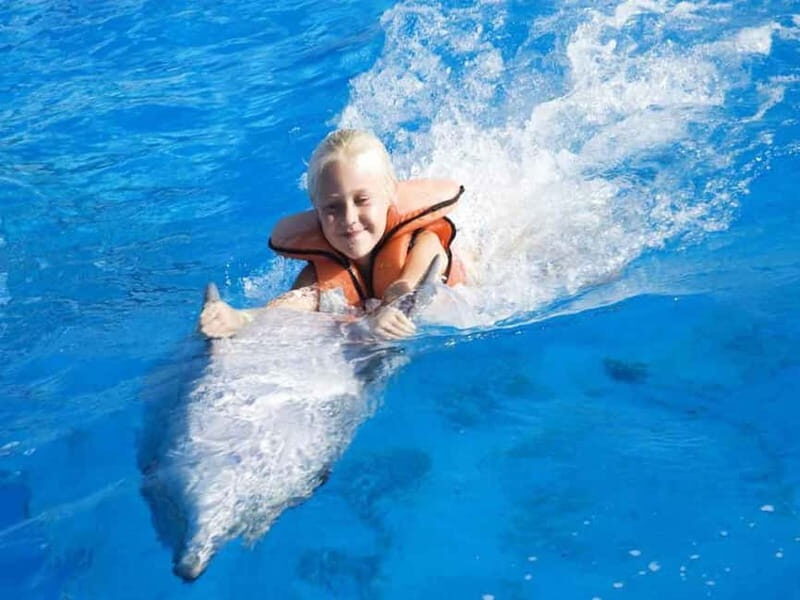 Side/Alanya: Swimming with Dolphins and Dolphin Show - The Authenticity and Value of the Experience
