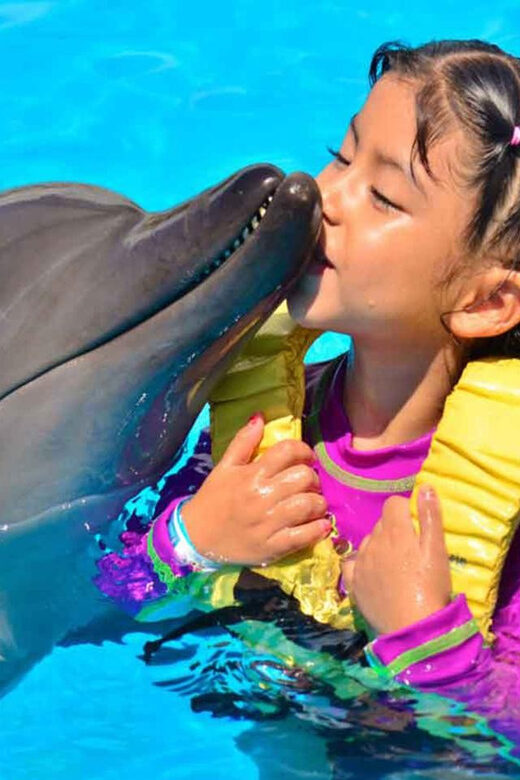 Side/Alanya: Swimming with Dolphins and Dolphin Show - Practical Tips for Making the Most of Your Visit