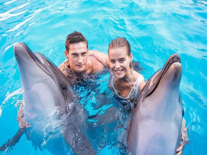 Side/Alanya: Swimming with Dolphins and Dolphin Show - Who Will Love This Tour?
