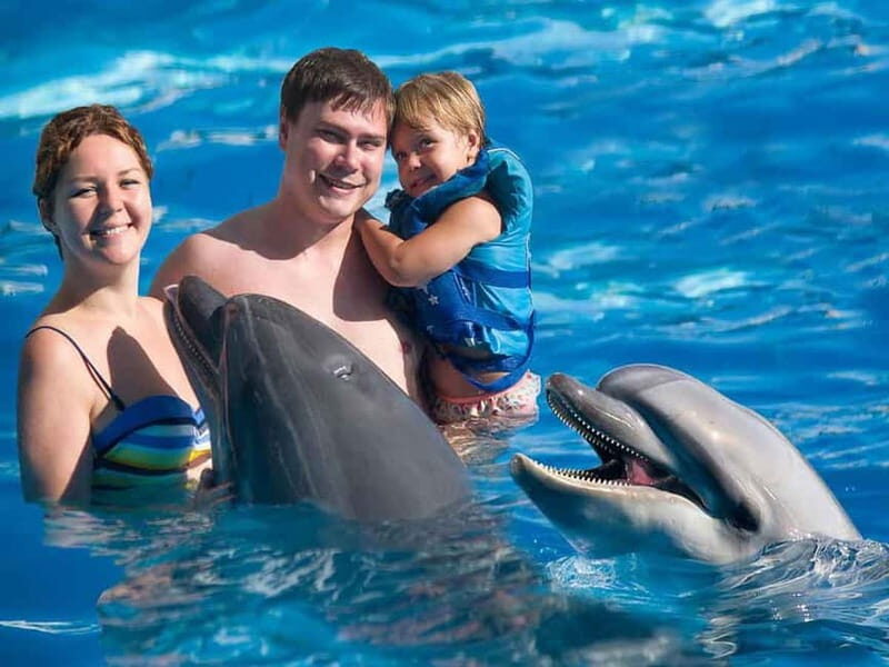 Side/Alanya: Swimming with Dolphins and Dolphin Show - The Sum Up