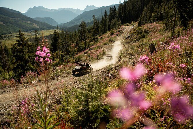 Side-by-Side Off-Roading Adventures on Cougar Mountain - What Makes This Off-Roading Tour Stand Out